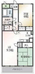 グレーシャス市川の物件間取画像